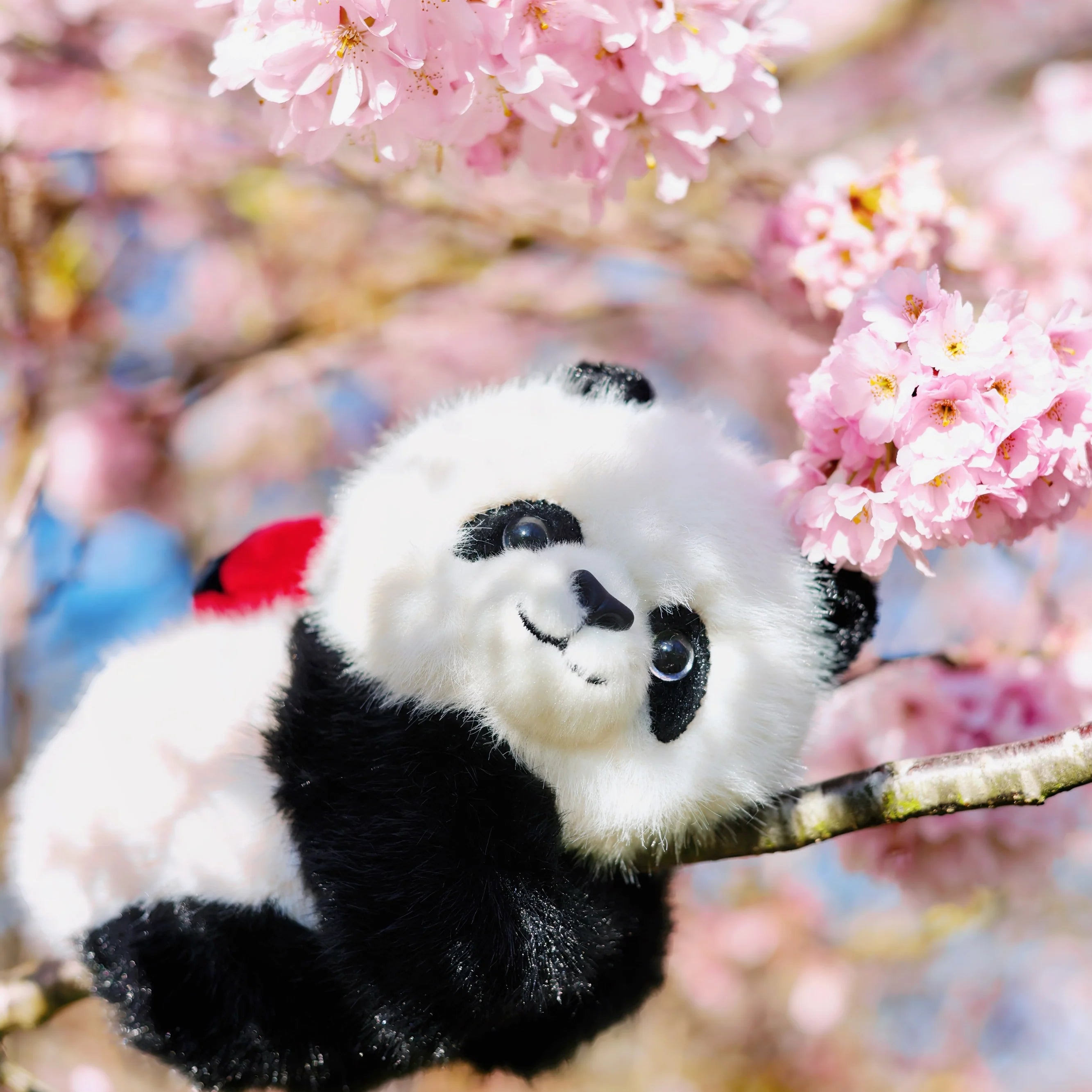 Panda Gifts Under £20