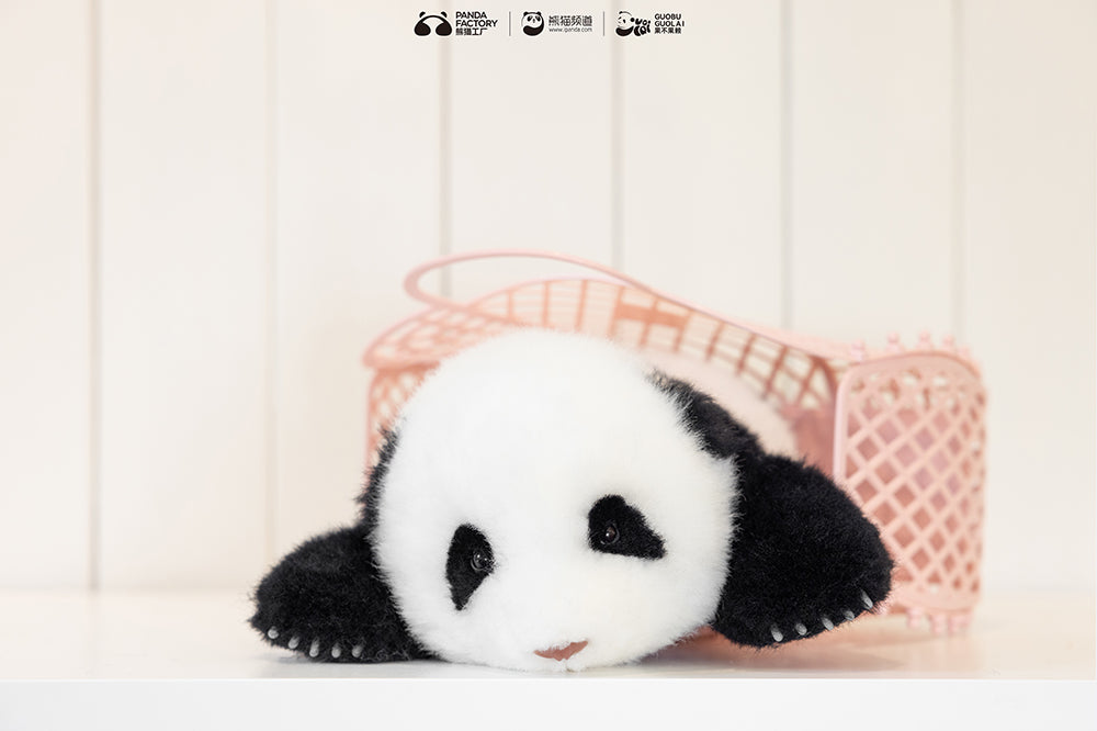 He Hua Baby Panda – 1.5 Month Edition