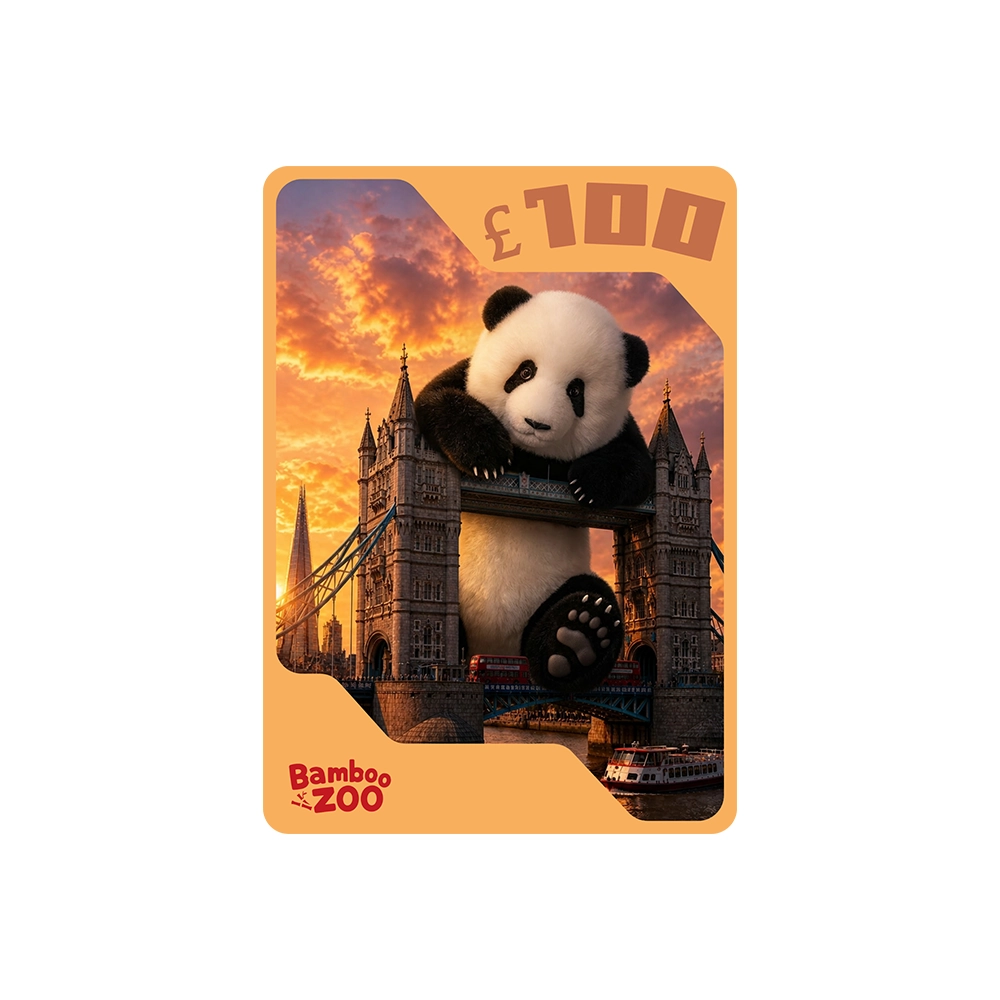 Bamboozoo £100 Gift Card