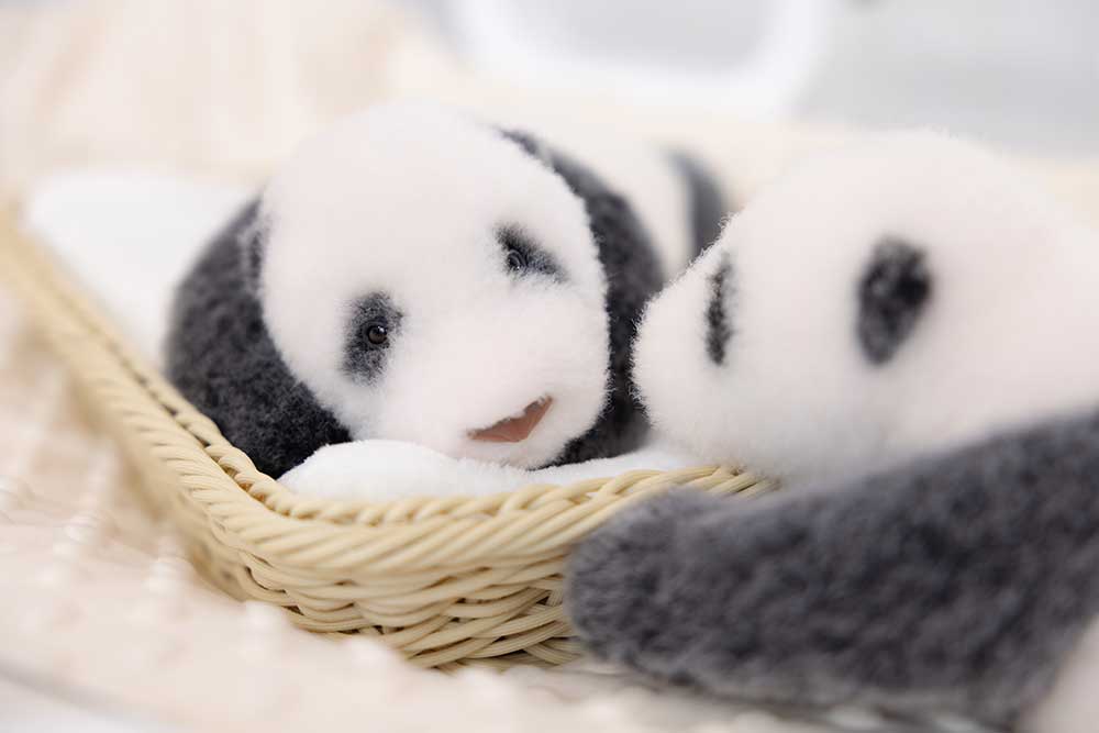 Newborn Panda Cub Plush – Sleeping & Awakening Editions
