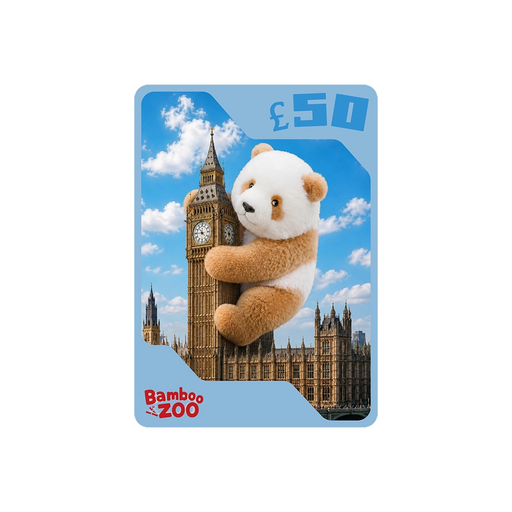 Bamboozoo £50 Gift Card