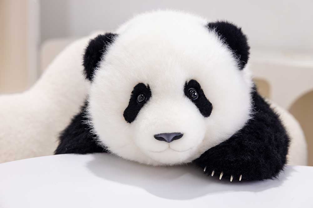 Meng Lan Baby Panda – 5 Month Edition