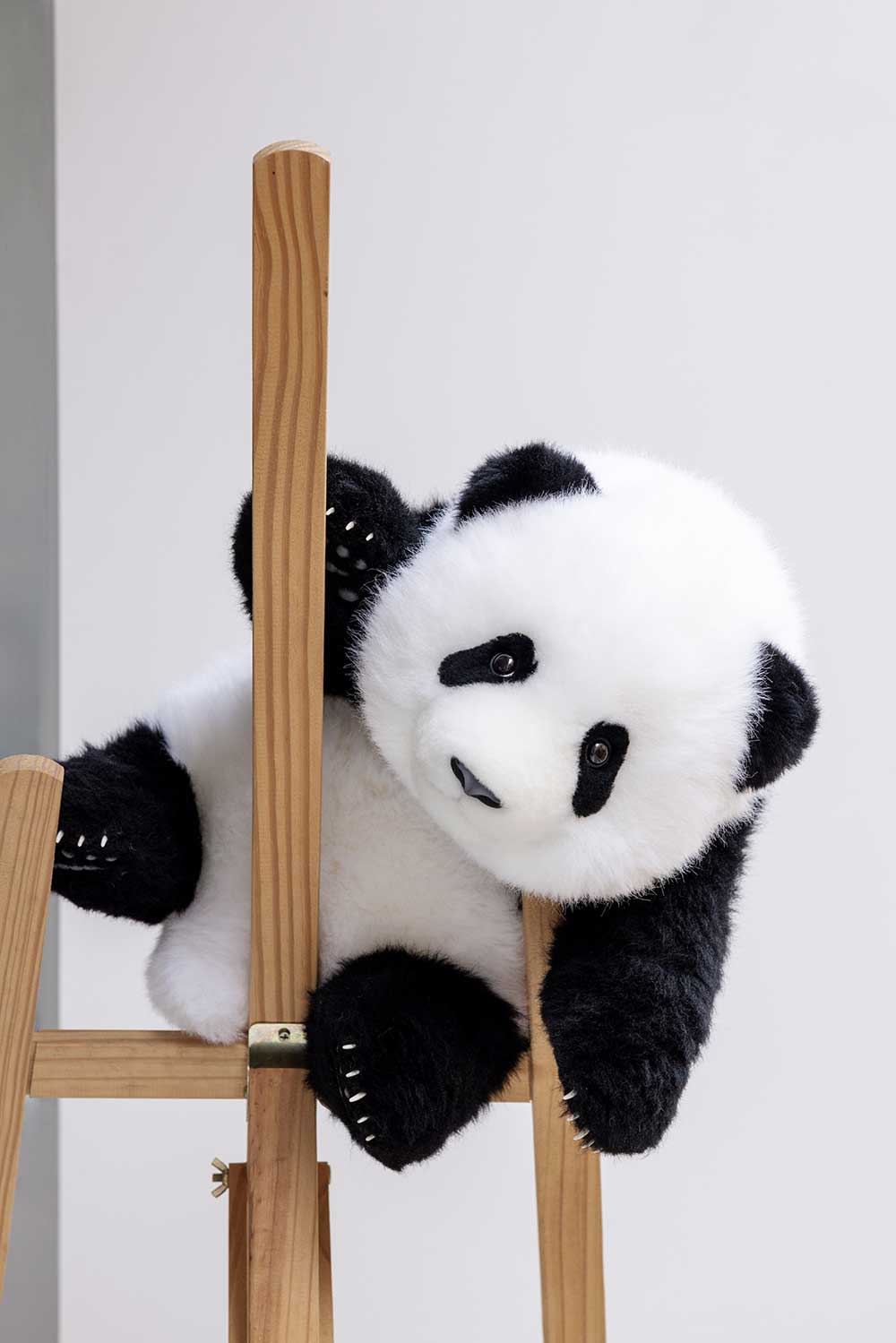 Meng Lan Baby Panda – 5 Month Edition