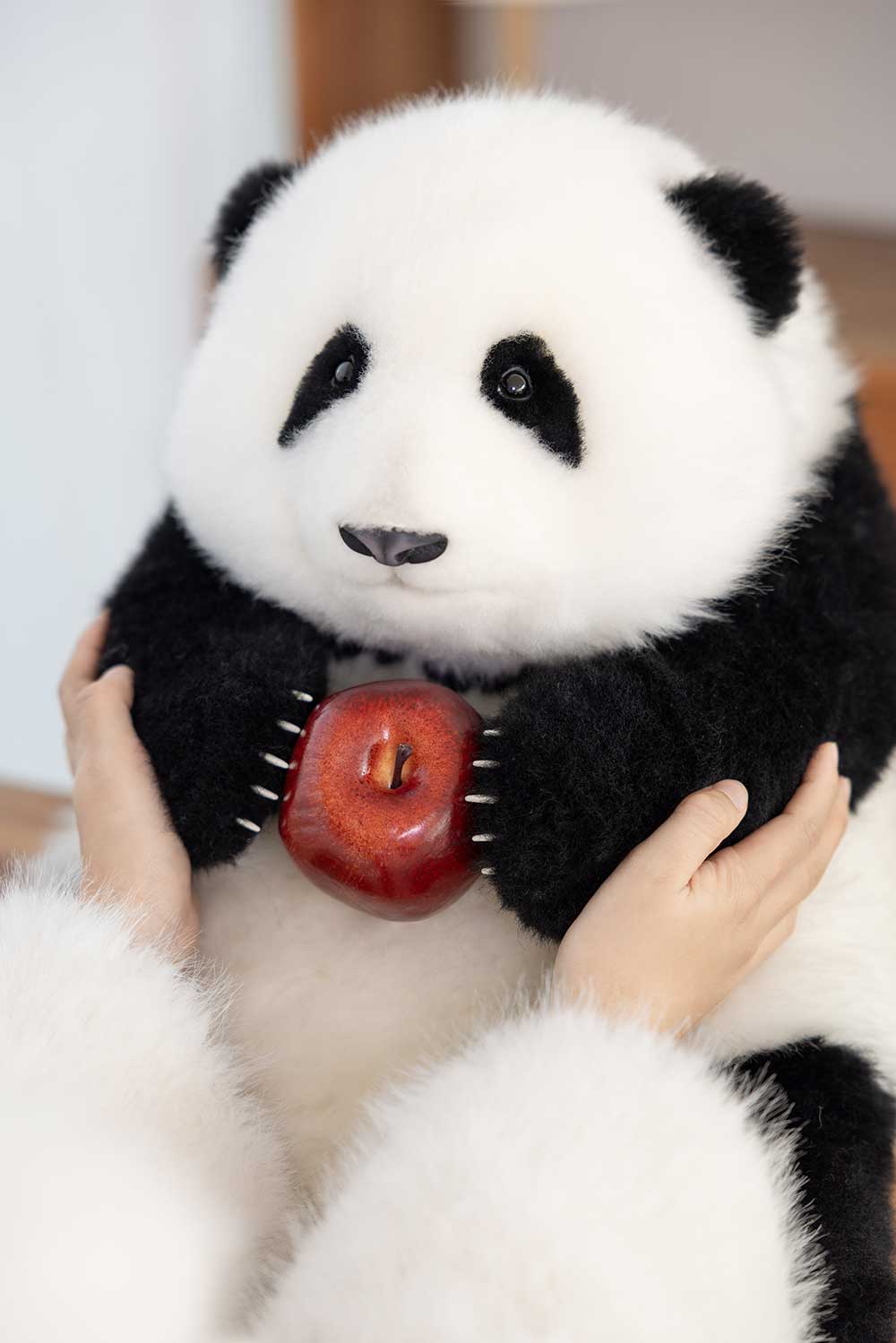 He Hua Baby Panda – 6 Month Edition