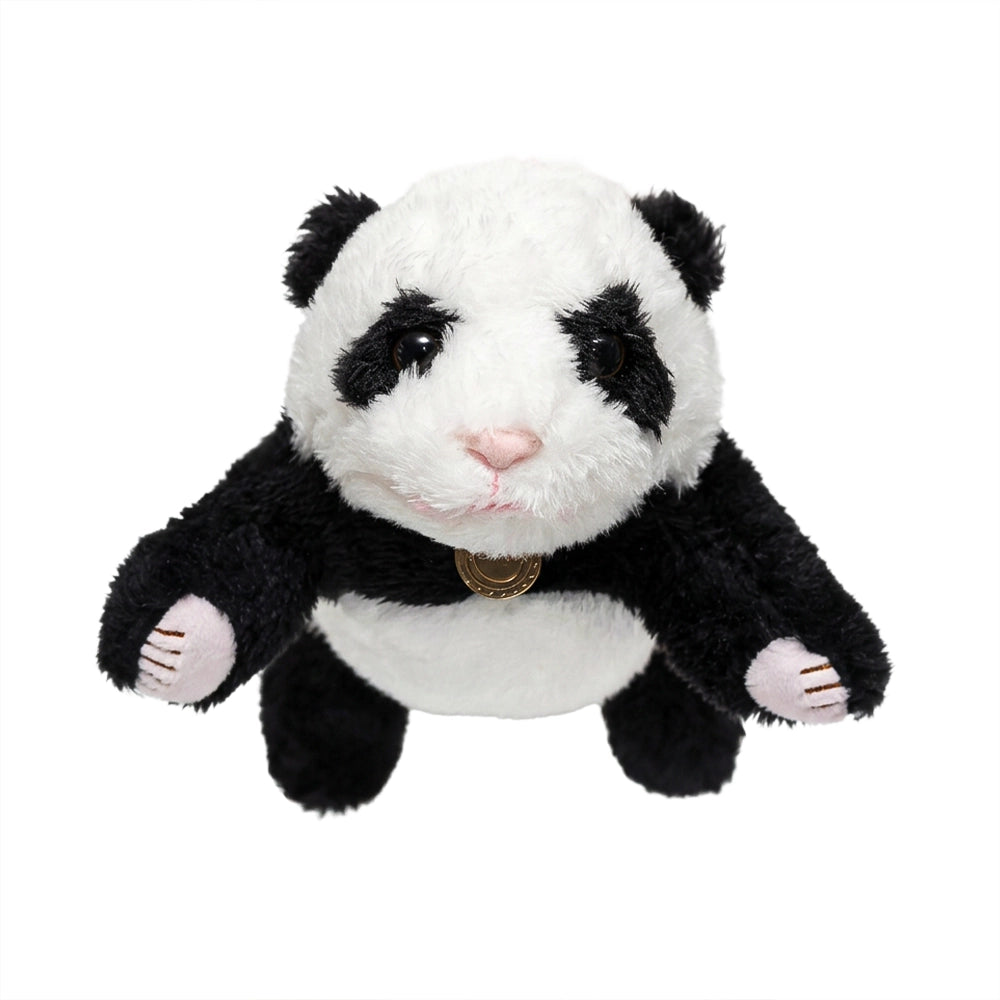 Little Panda Baby with Box