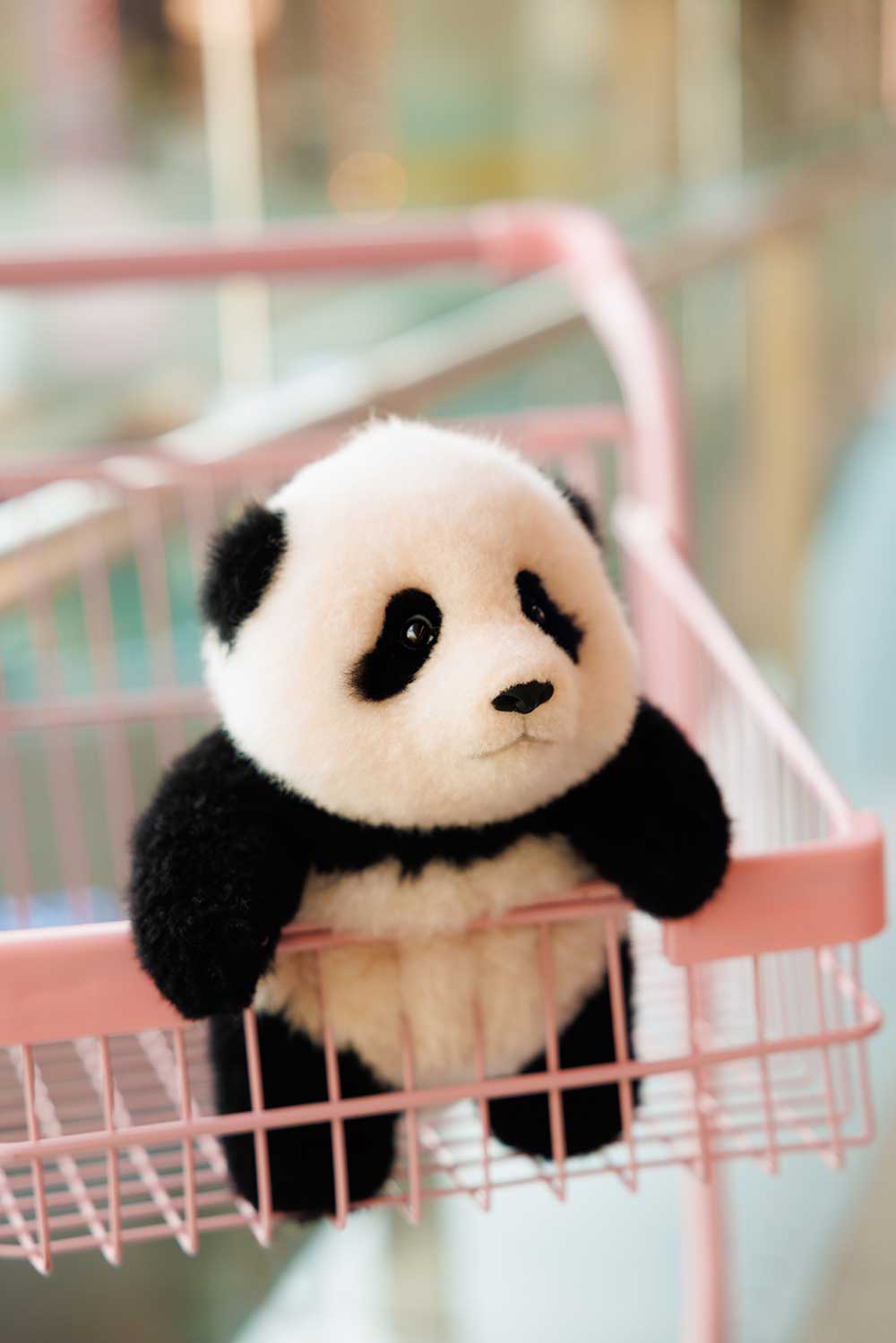 Big Head Series – Fu Bao Panda (Classic & Poseable Editions)