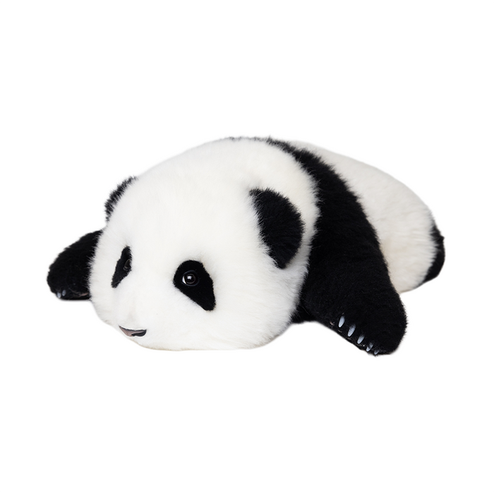 He Hua Baby Panda – 3 Month Edition