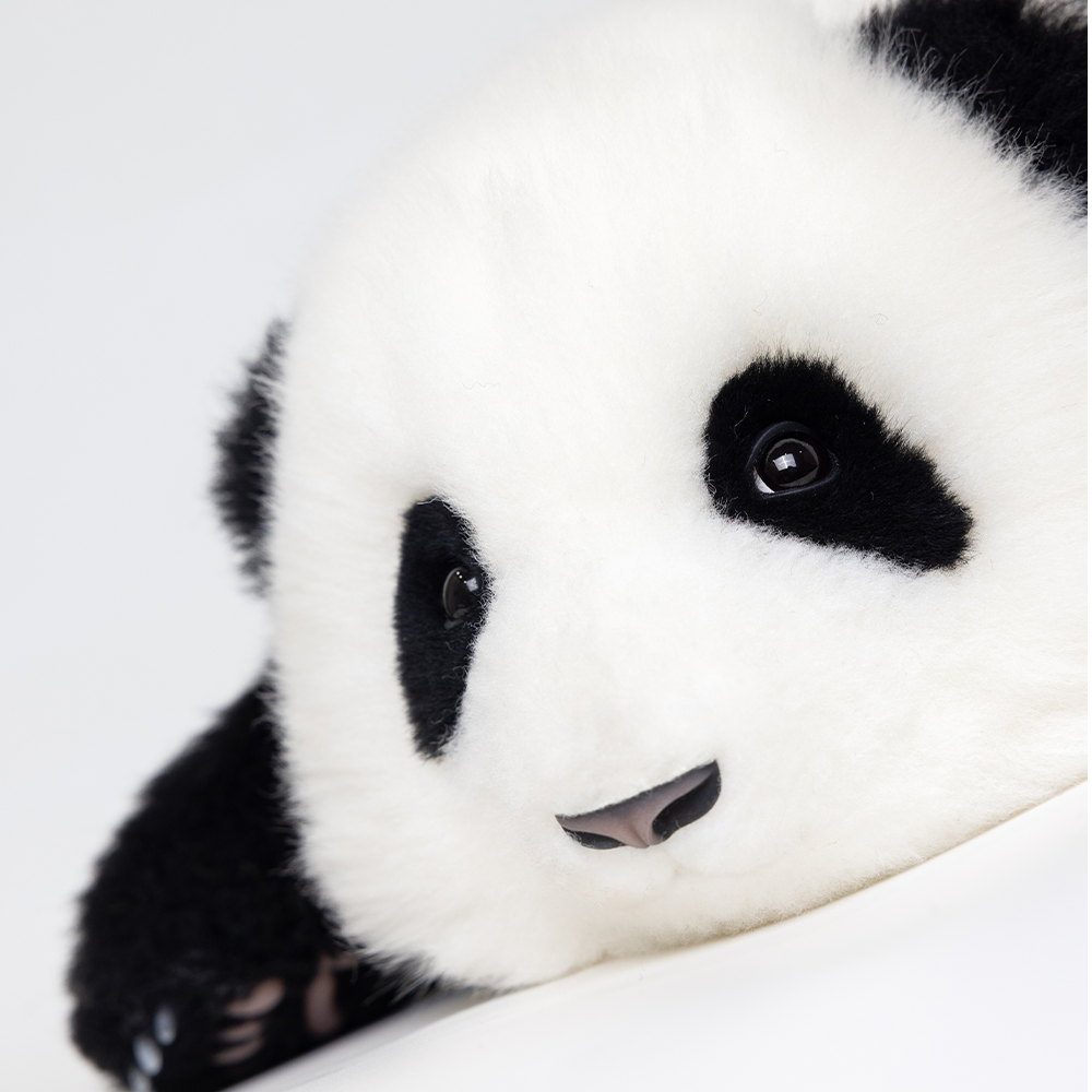 “He Hua” Baby Panda Plush – 3-Month Edition