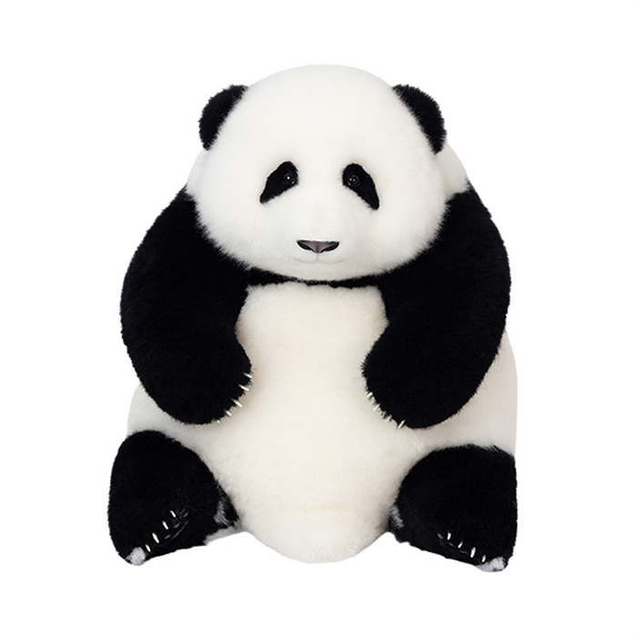 He Hua Baby Panda – 6 Month Edition