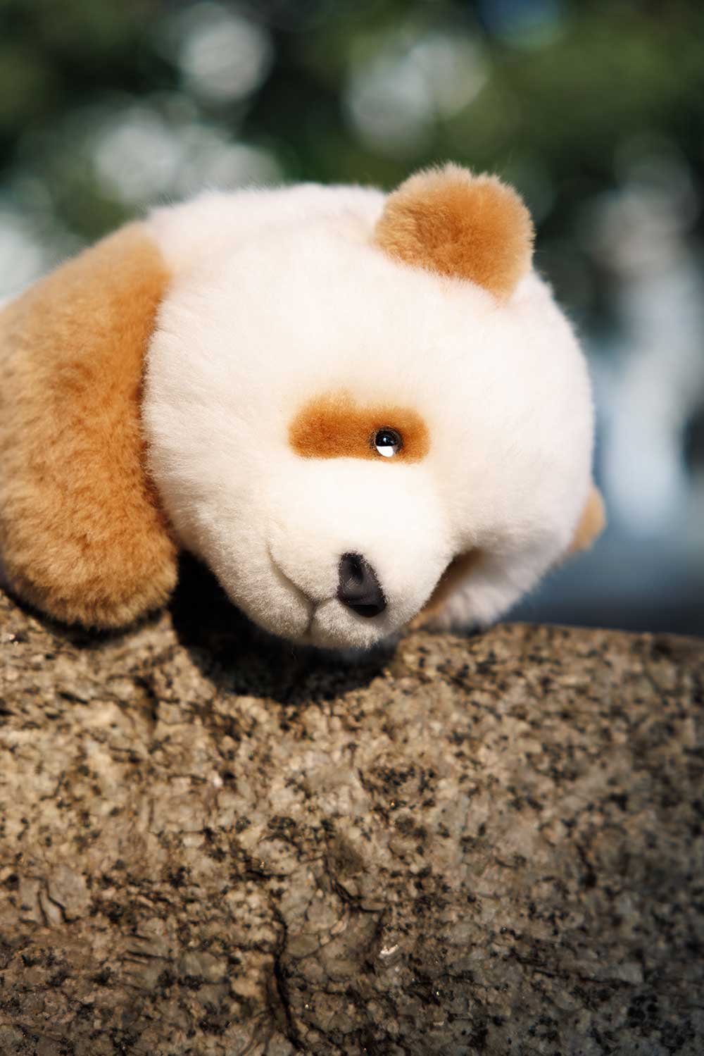 Big Head Panda Plush Toy – Qi Zai Panda (Classic & Poseable Editions)