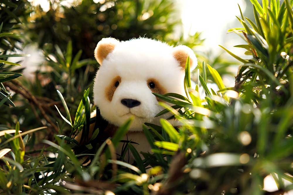 Big Head Panda Plush Toy – Qi Zai Panda (Classic & Poseable Editions)
