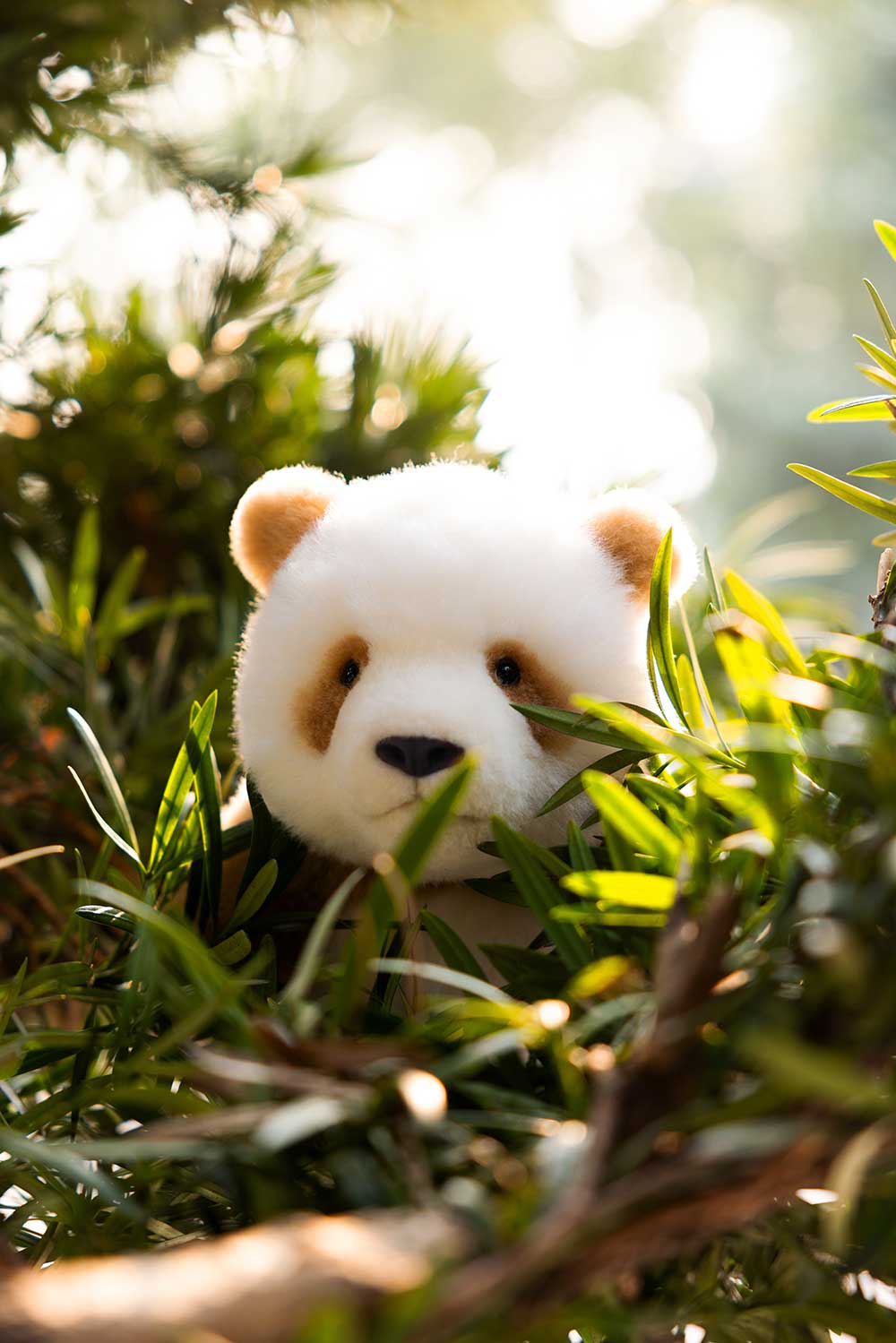 Big Head Panda Plush Toy – Qi Zai Panda (Classic & Poseable Editions)