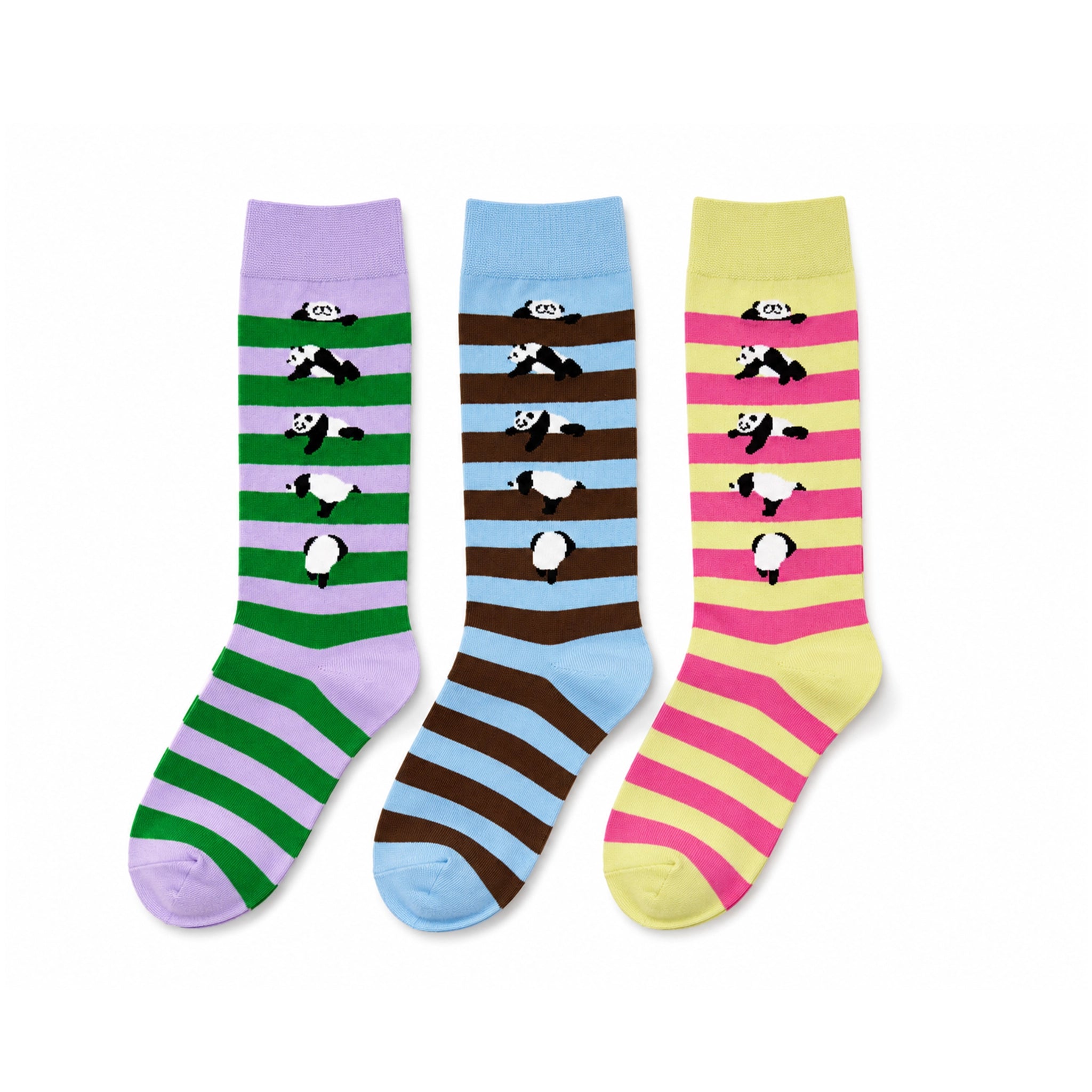 Panda Colour Block Striped Socks Gift Box Design A