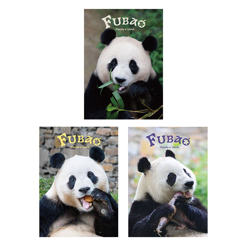 Panda File Folder Set Design A
